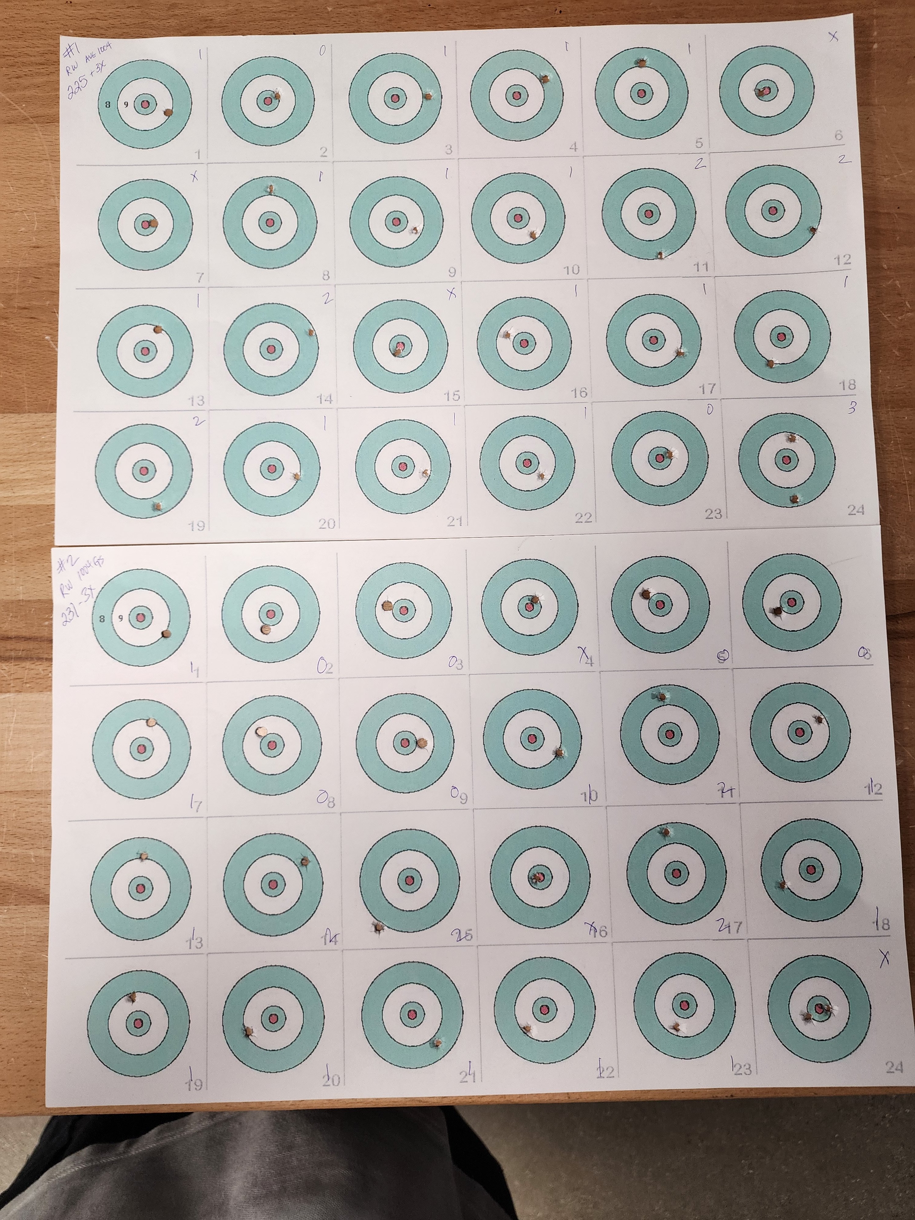 RW 22 HP 100yds @ 1004fps.jpg