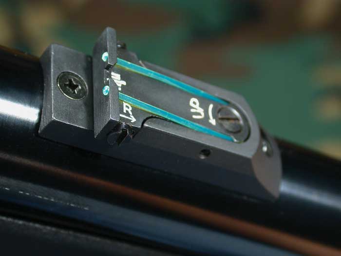 rws-diana-5g-p5-article-4 (1).jpg