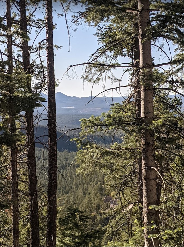 scenery.1652686189.jpg