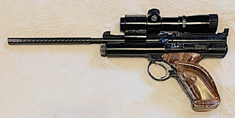 Scoped 600 custom.jpg