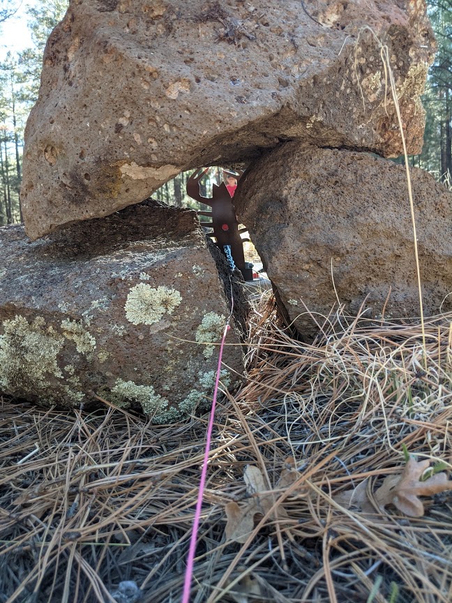 scorpion.1620676072.jpg