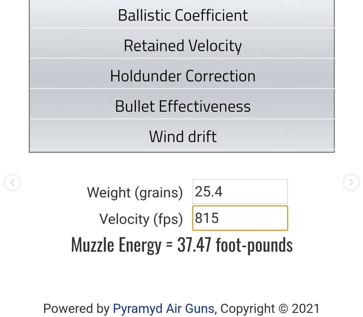 Screen Shot 2021-01-19 at 8.54.39 AM.1611069272.png