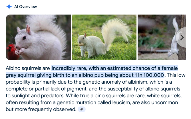 Screenshot 2025-08-03 at 17-41-39 albino squirrel rarity - Google Search.png
