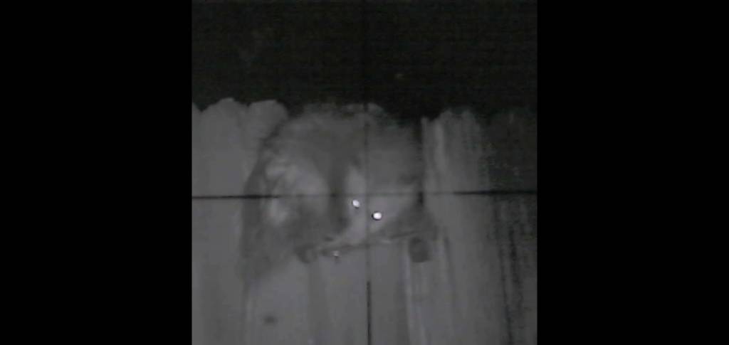Screenshot_20210116-213542_Video Player.1610851230.jpg