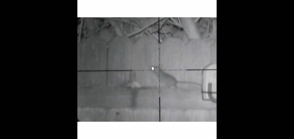 Screenshot_20210116-215224_Video Player.1610851981.jpg
