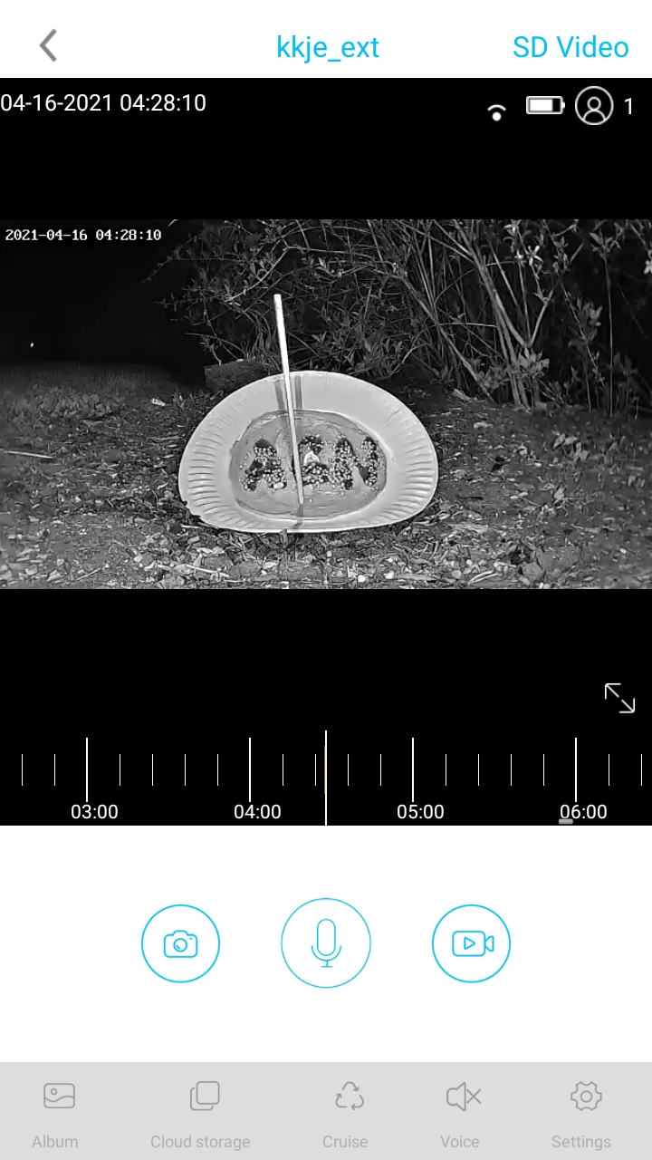 Screenshot_20210416-042812_XSH cam.1618572538.jpg