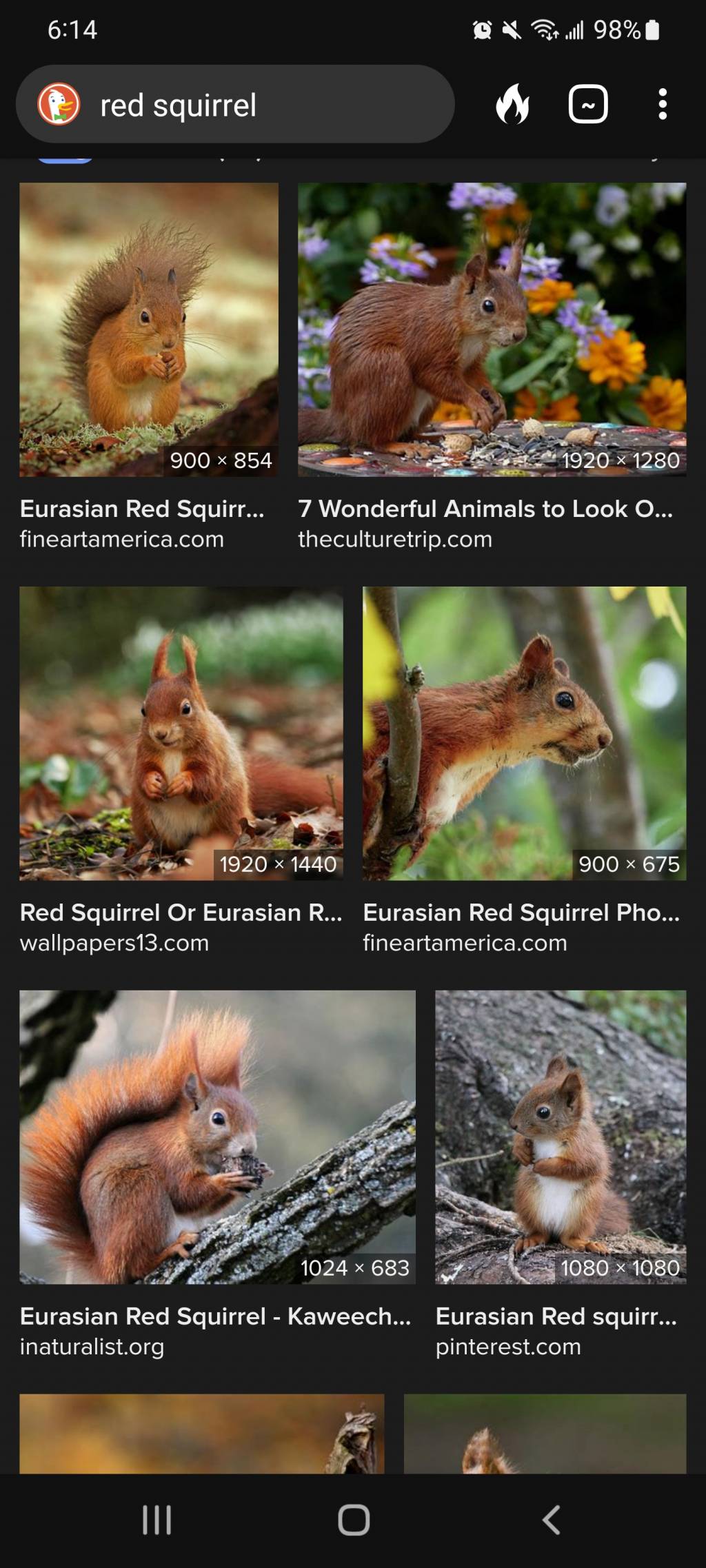 Screenshot_20220510-061451_DuckDuckGo.1652188602.jpg
