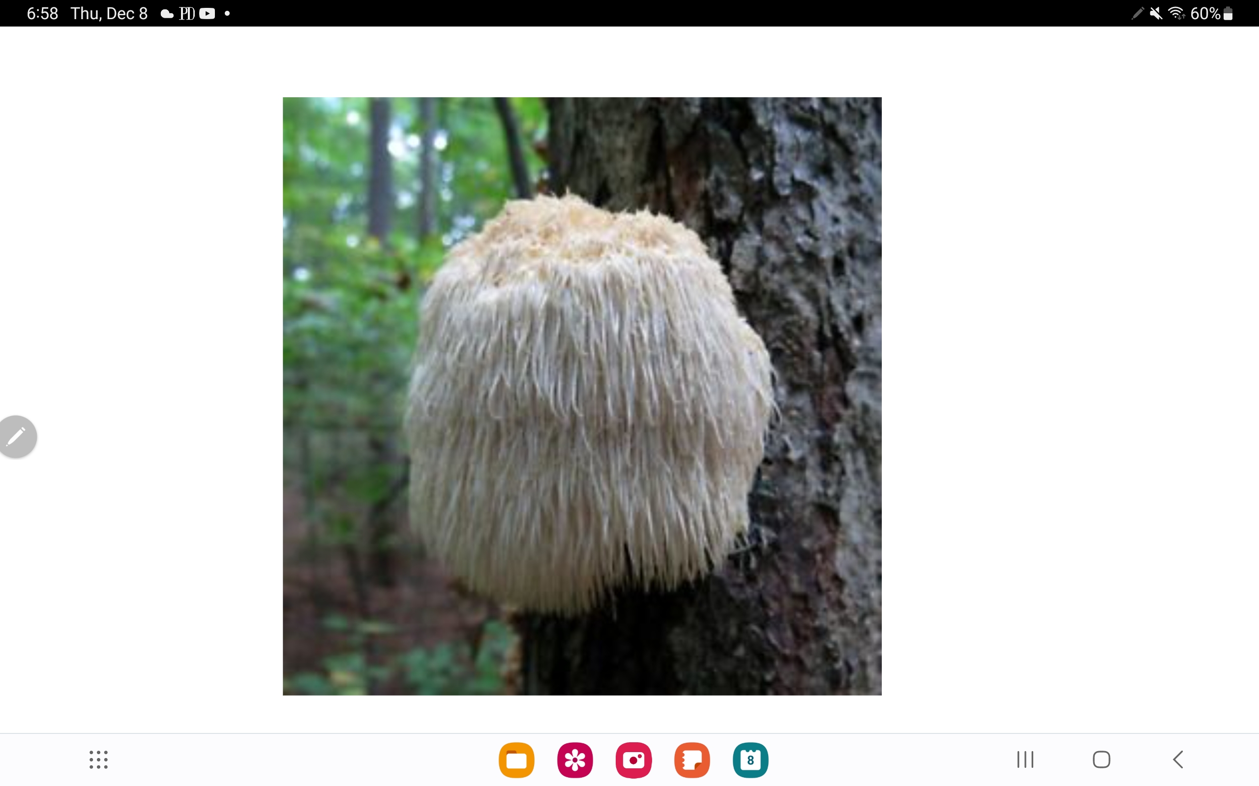 Screenshot_20221208_185855_Chrome.jpg