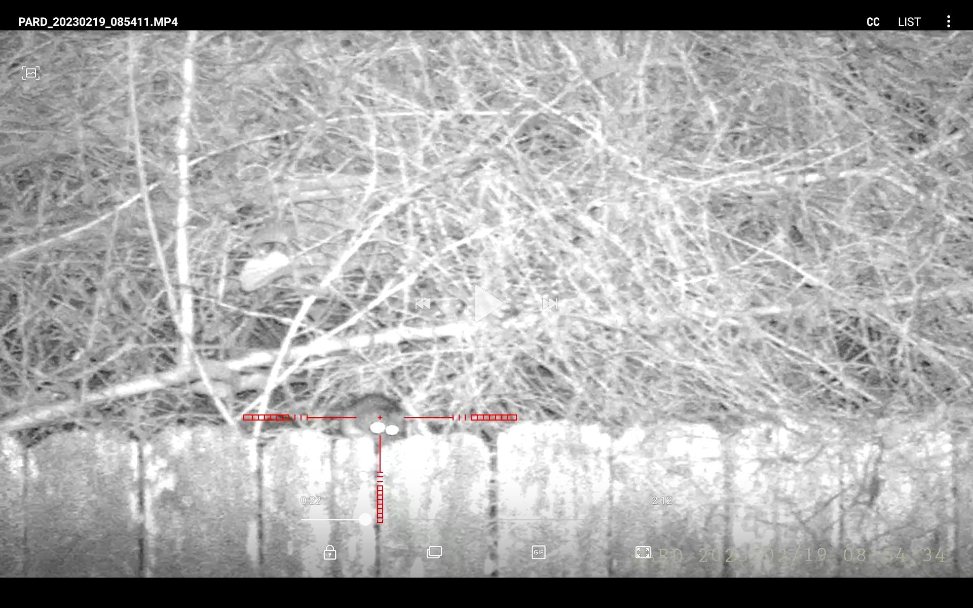 Screenshot_20230220-093111_Video Player.jpg