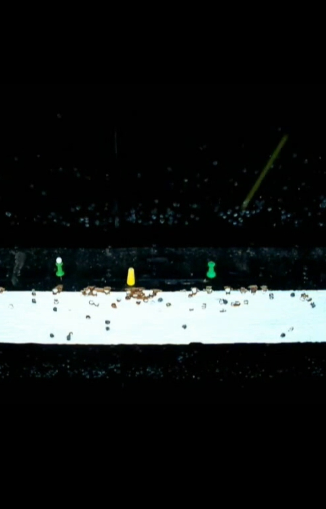 Screenshot_20230425_201344_Gallery.jpg