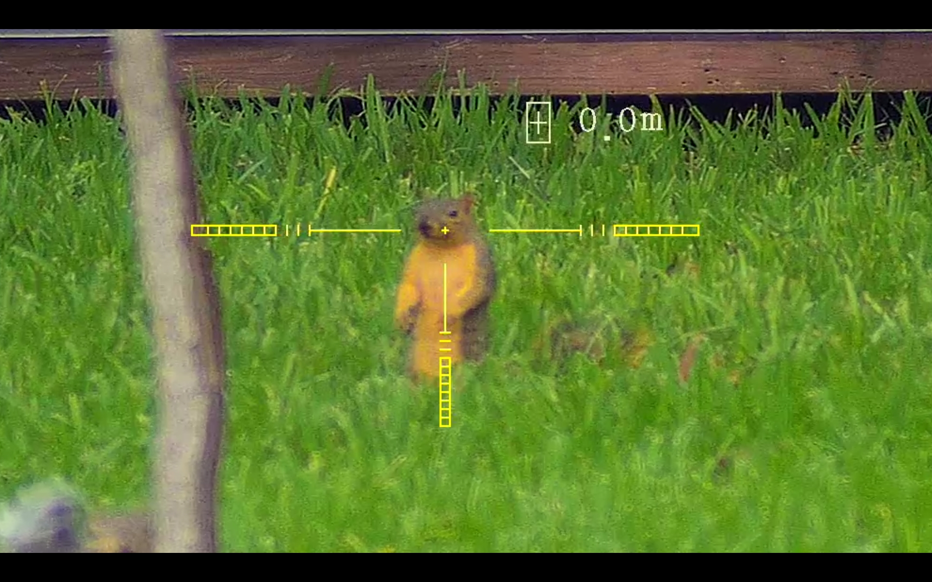 Screenshot_20230925-114419_Video Player.jpg
