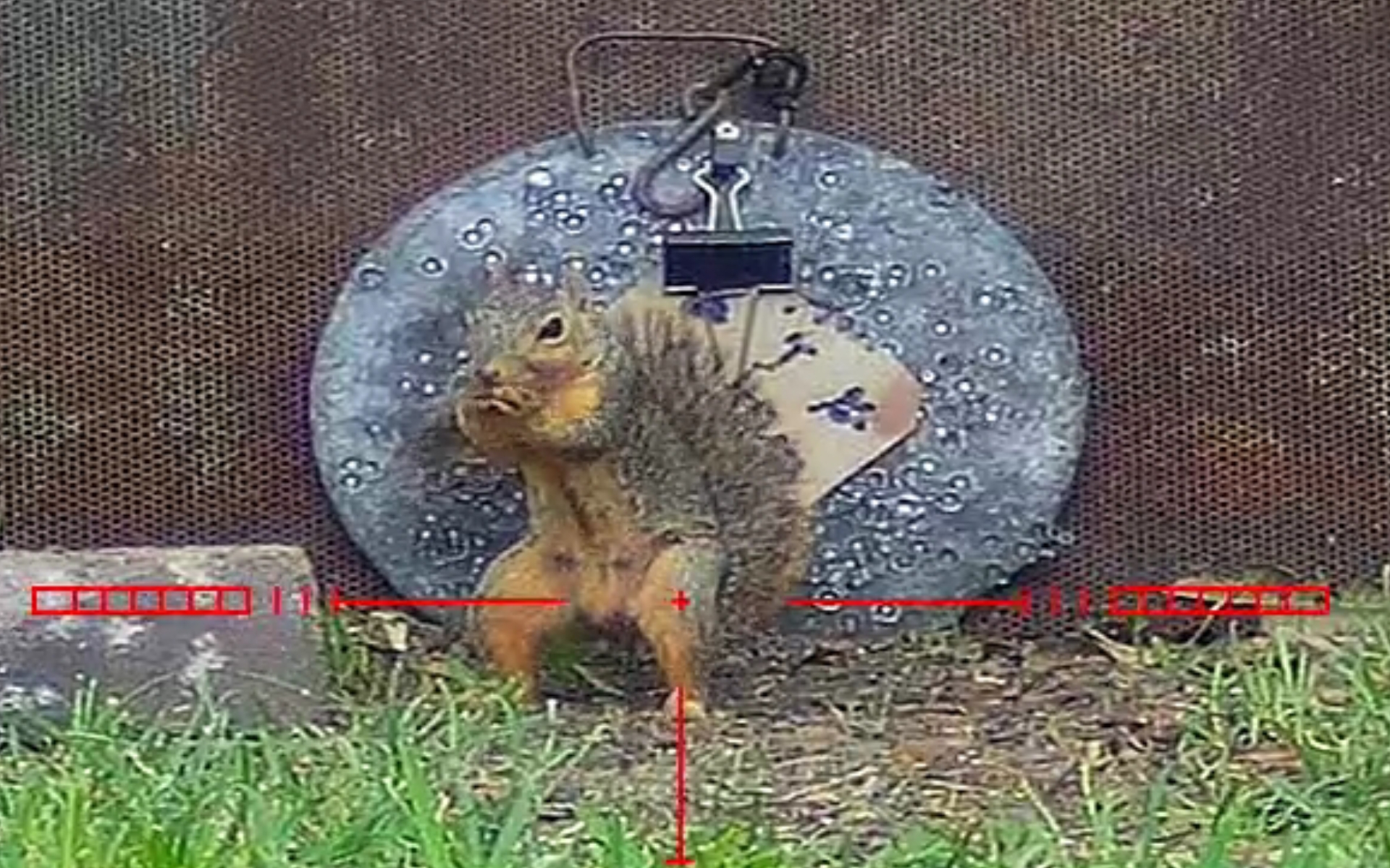 Screenshot_20231130-095106_Gallery.jpg