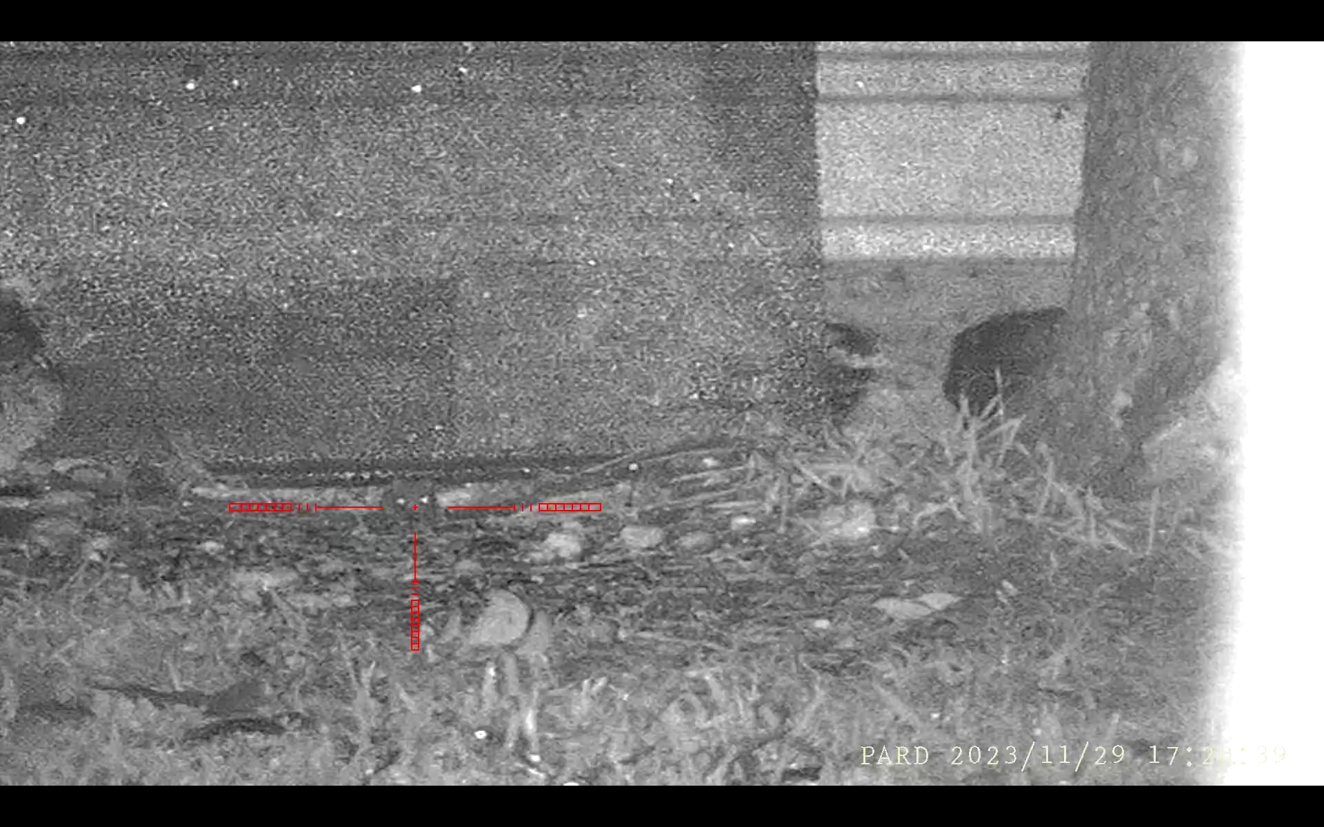 Screenshot_20231130-102432_Video Player.jpg