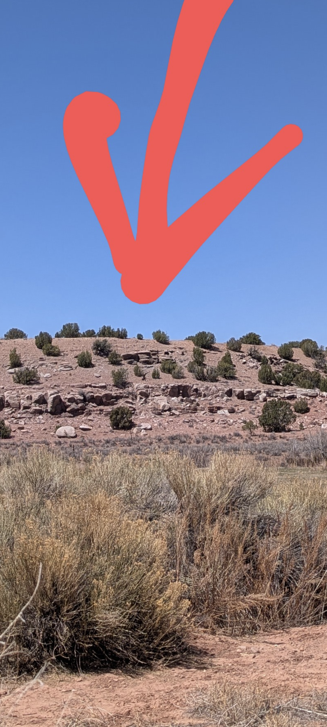Screenshot_20250410-122412.png