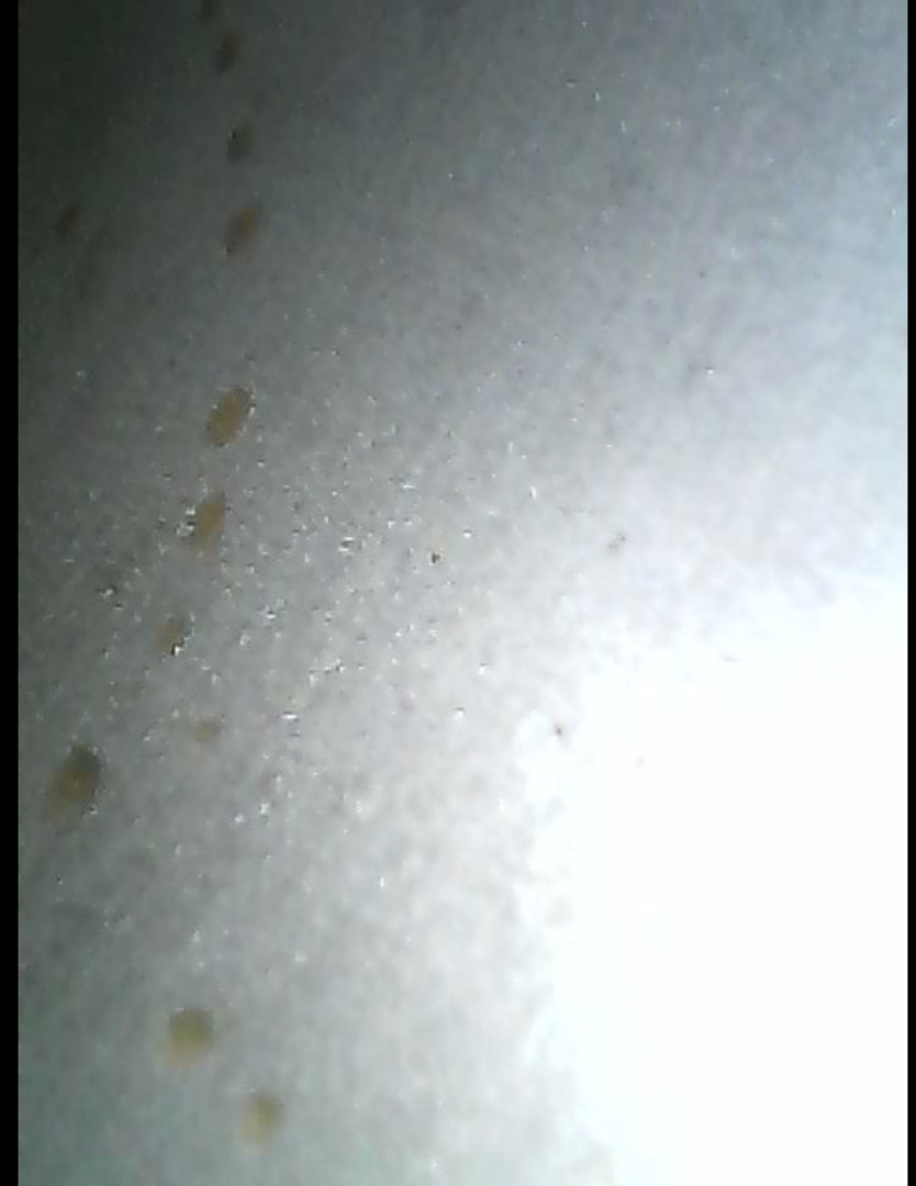 Screenshot_20250828_182951_Gmail.jpg