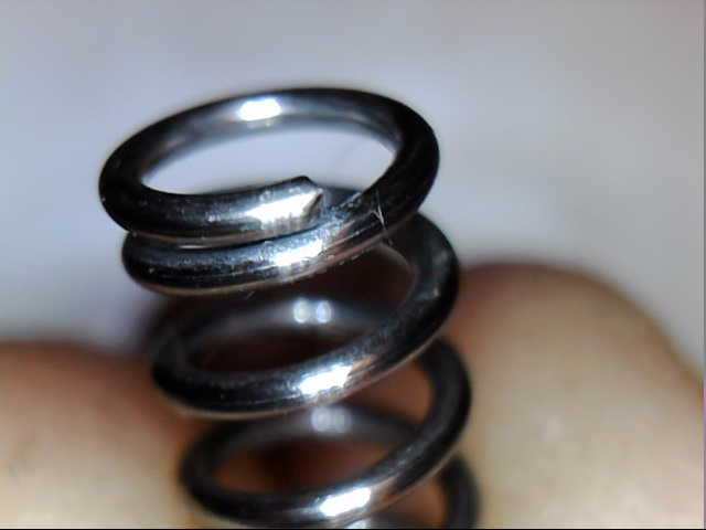 sharp spring.jpg
