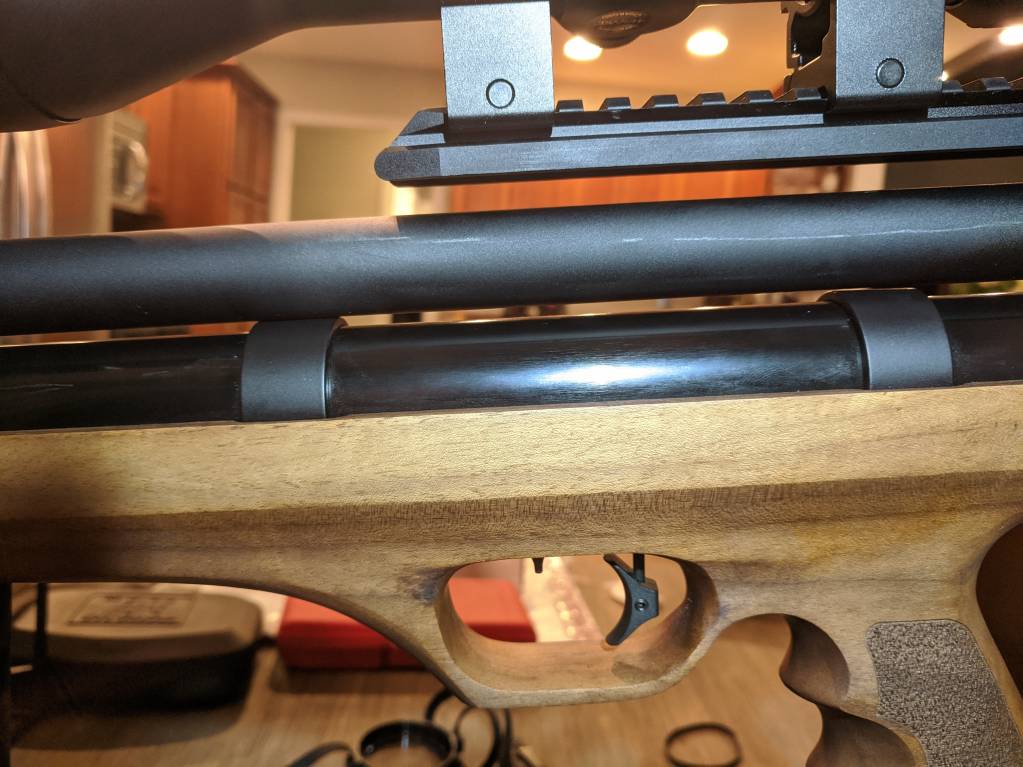 Shroud on strap.1613650938.jpg