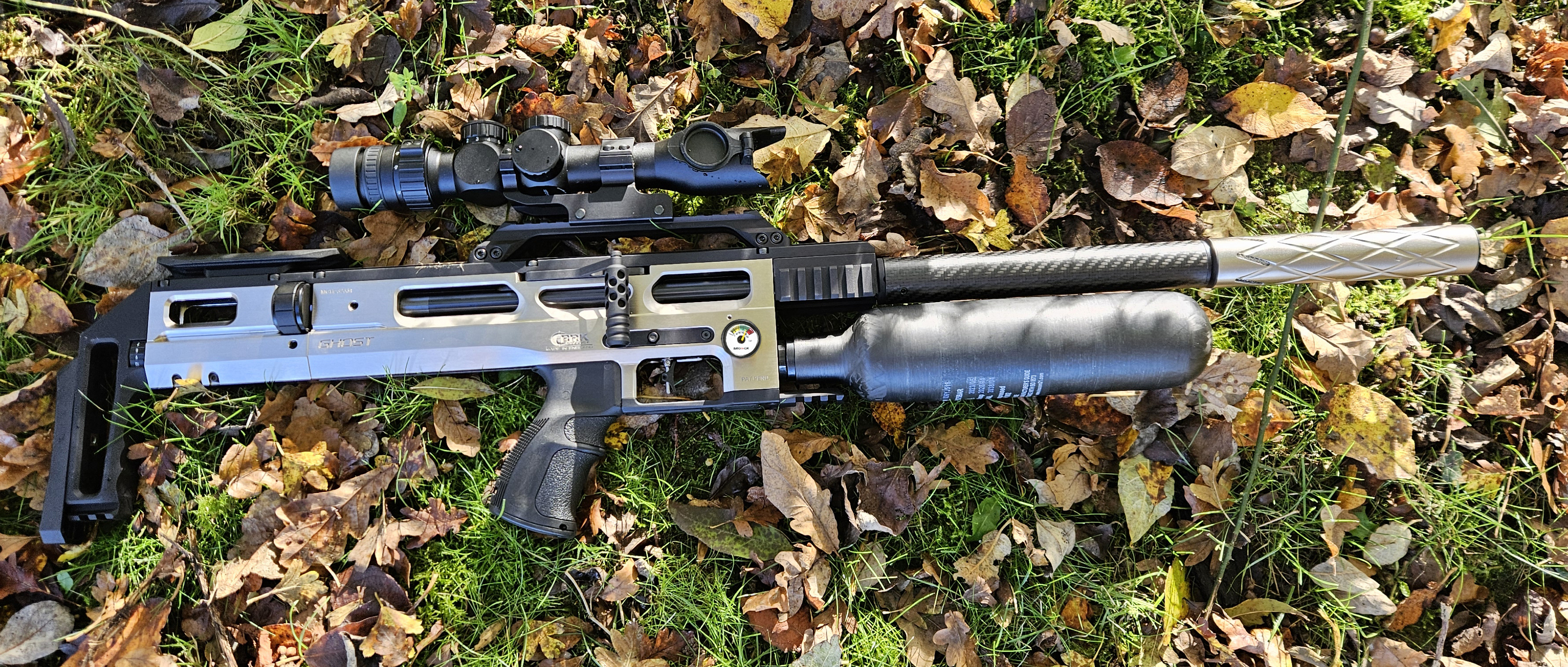 silver ghost side on grass.jpg