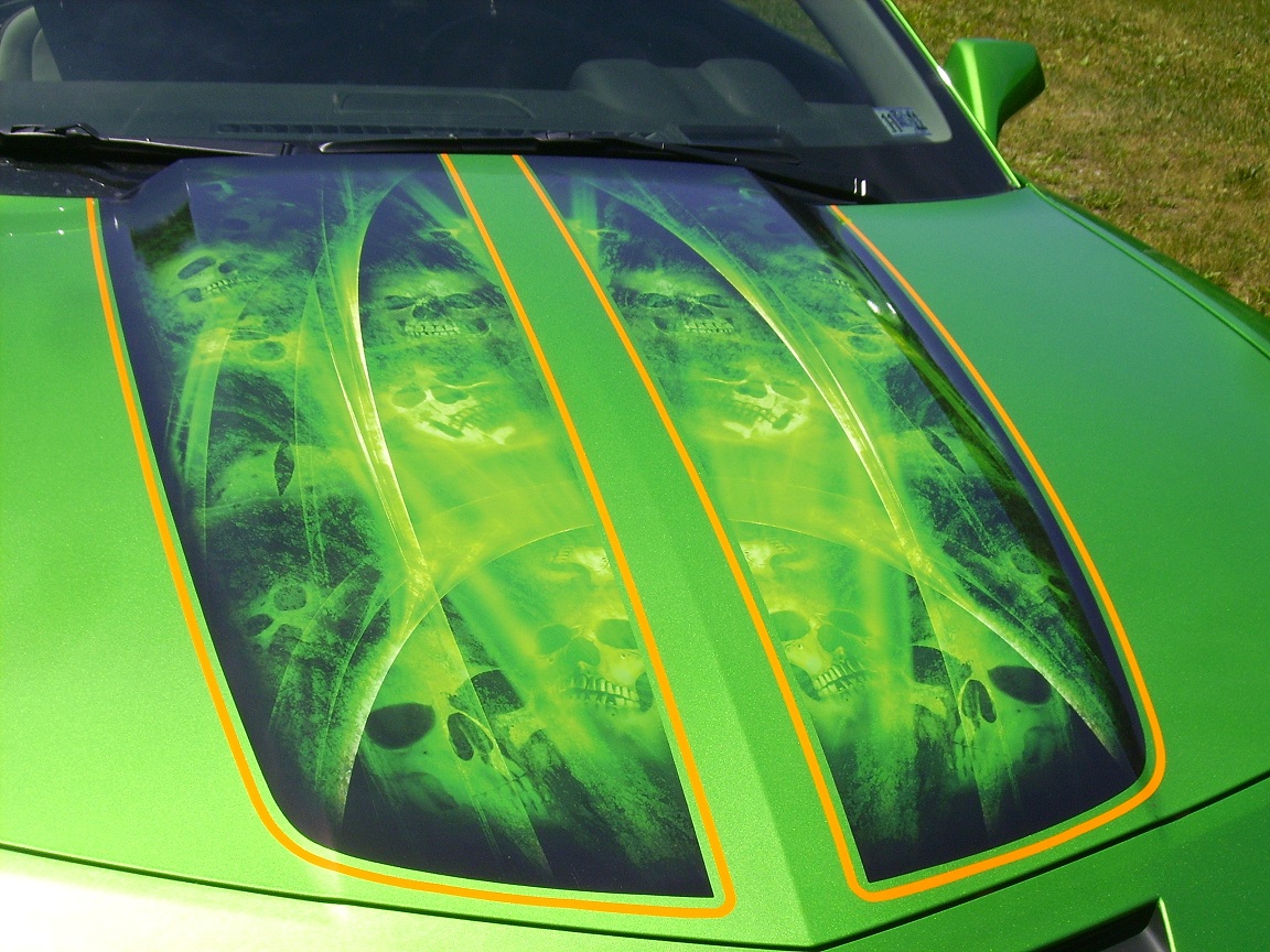 skull stripes2.jpg