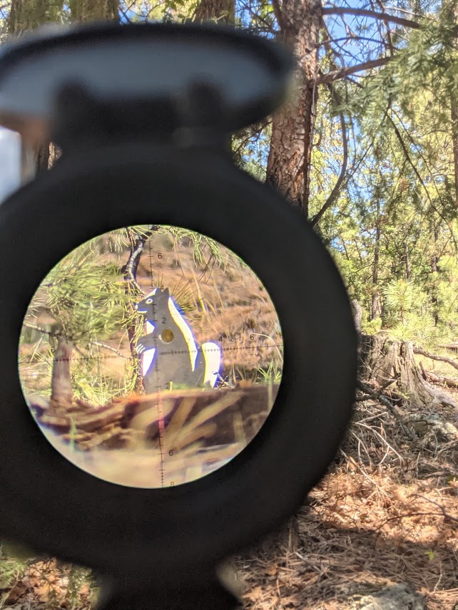 skunk through scope.1626336050.jpg