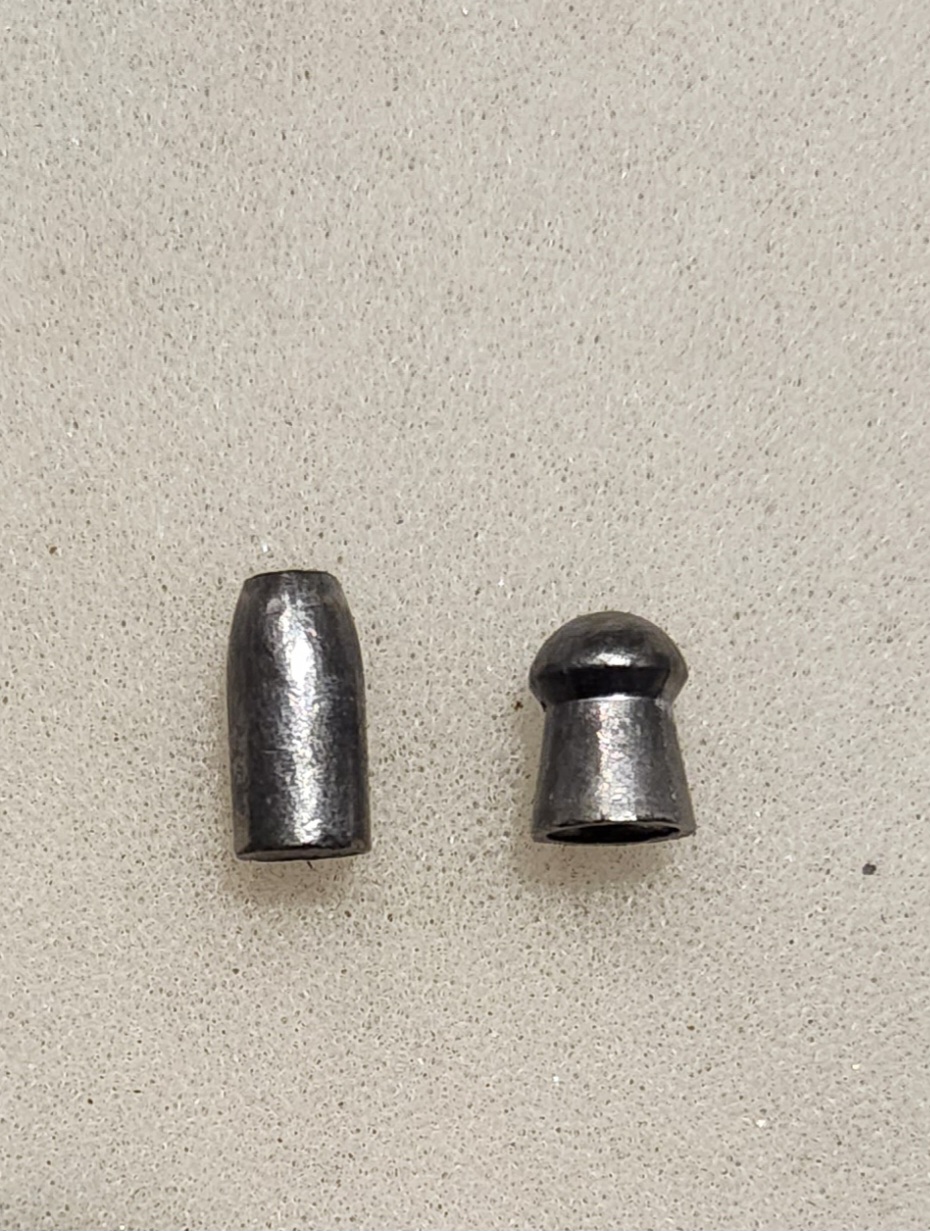 Slug vs Pellet.jpg