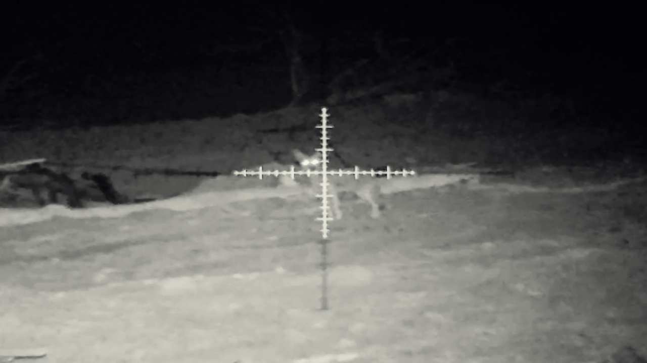 Snapshot_117.png