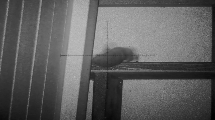 Snapshot_13.1649381621.png
