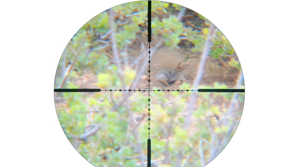 Snapshot_14.1632293682.png