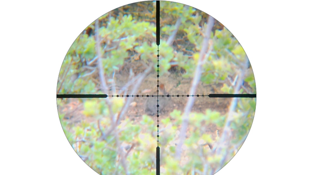 Snapshot_15.1632293666.png