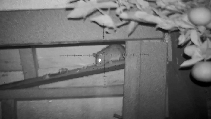 Snapshot_17.1649382177.png