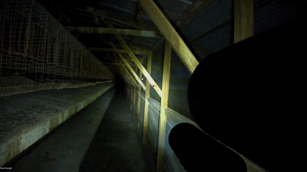 Snapshot_20.1623163983.png