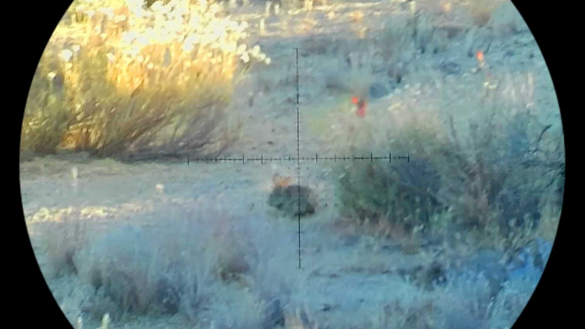 Snapshot_218.png
