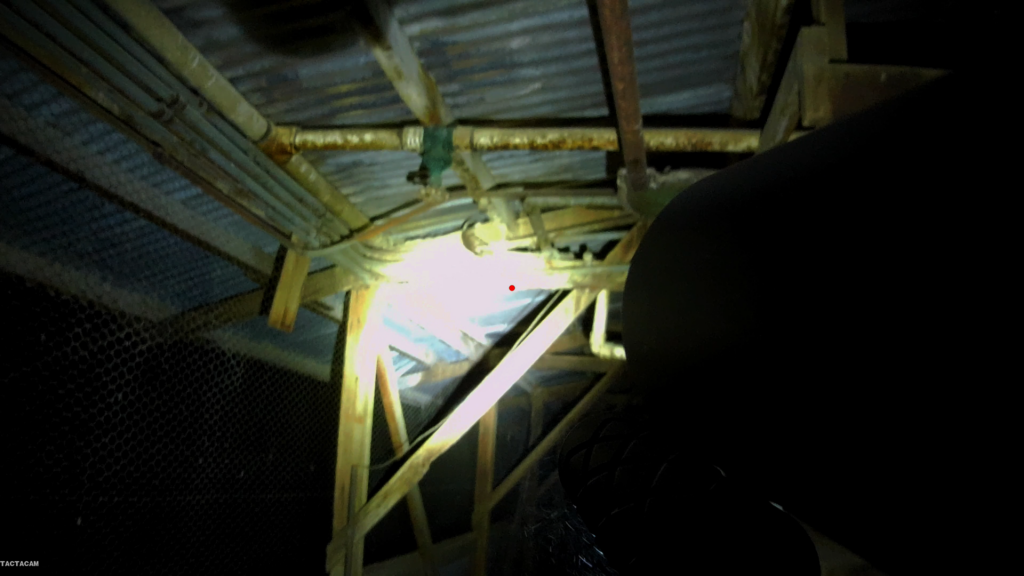 Snapshot_26.1623165061.png