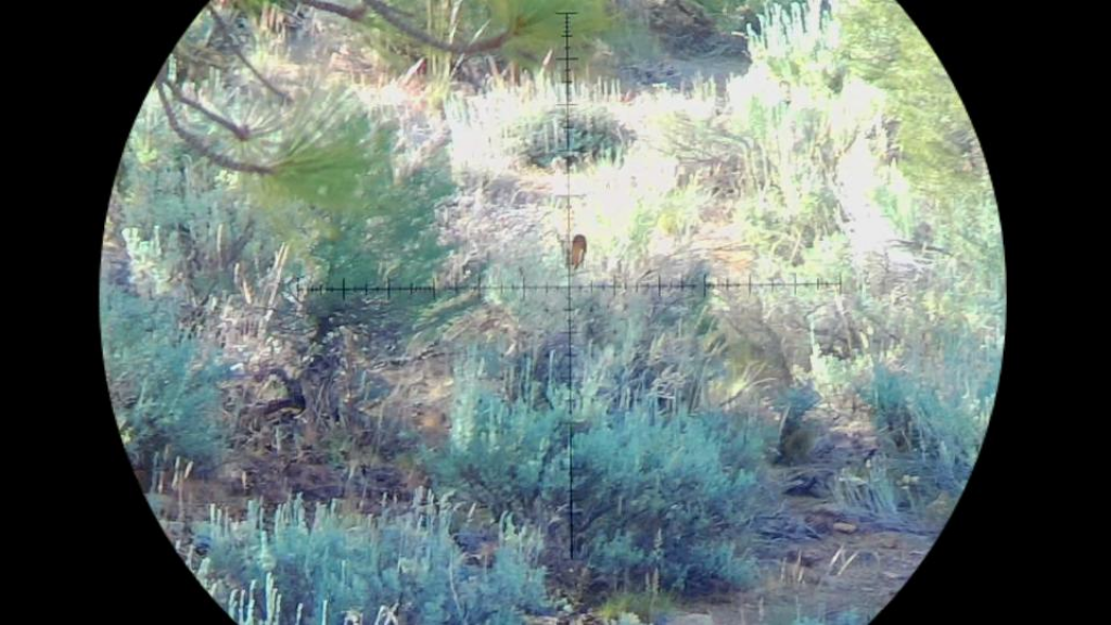 Snapshot_38.1654626225.png