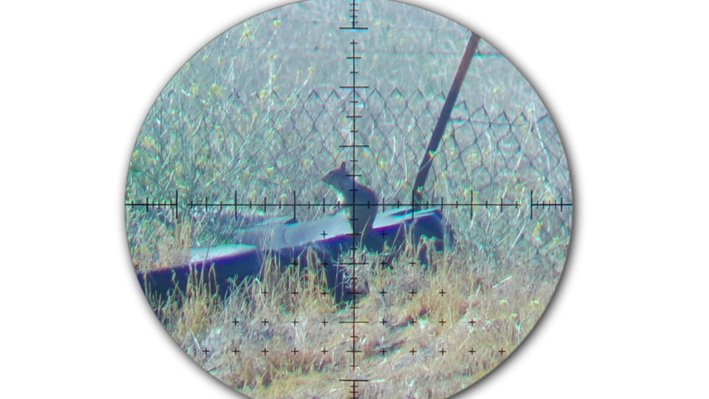 Snapshot_40.1623167761.png