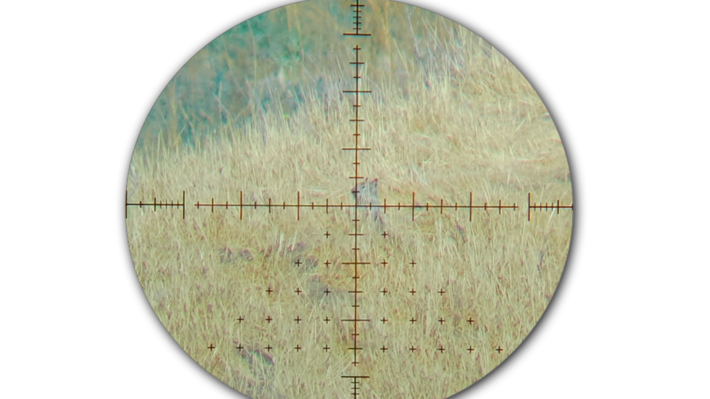 Snapshot_41.1623167772.png