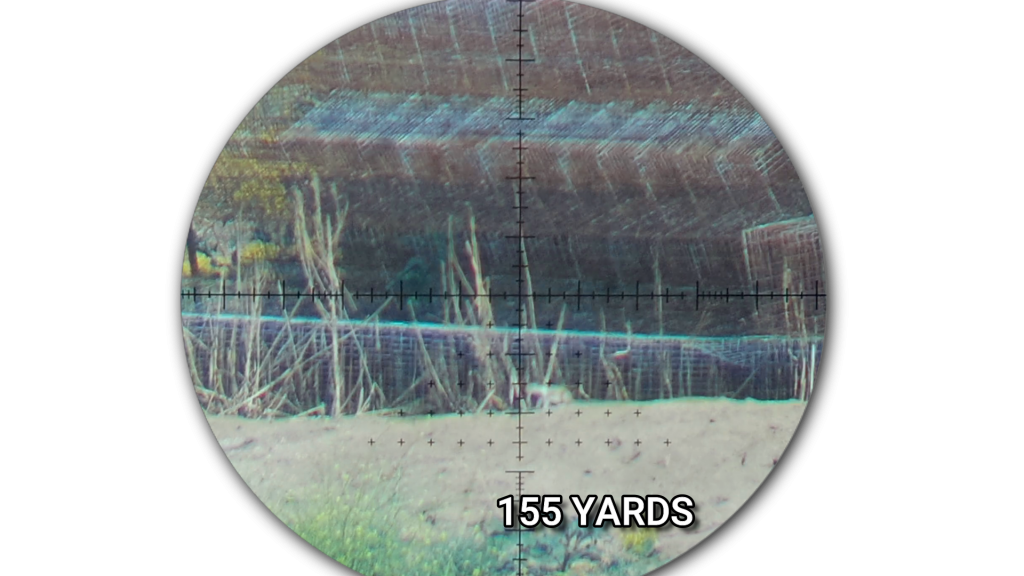 Snapshot_45.1623168072.png