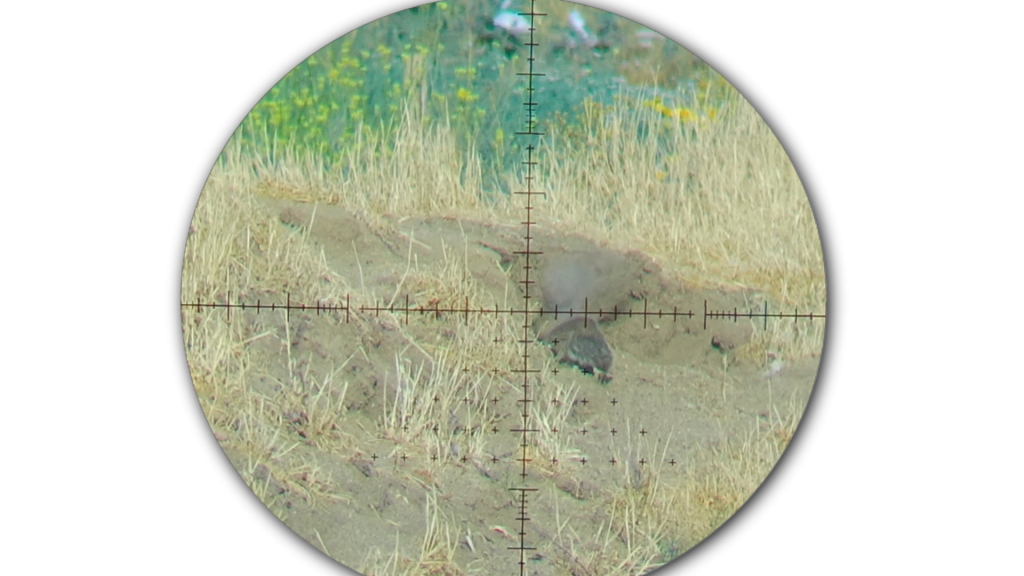 Snapshot_48.1623168444.png