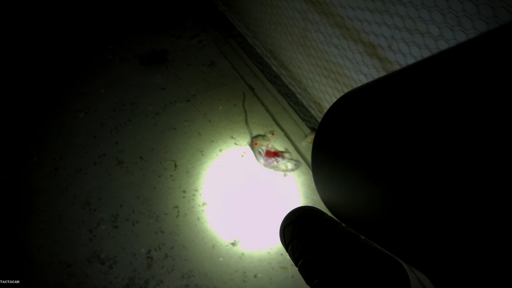 Snapshot_54.1623164765.png