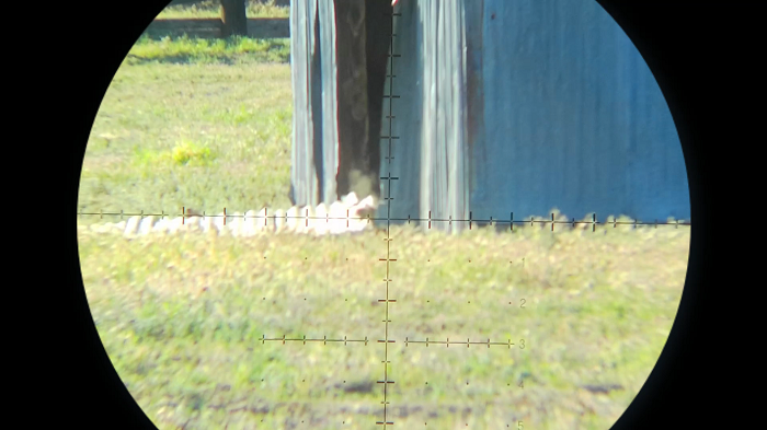 Snapshot_63.1649889590.png