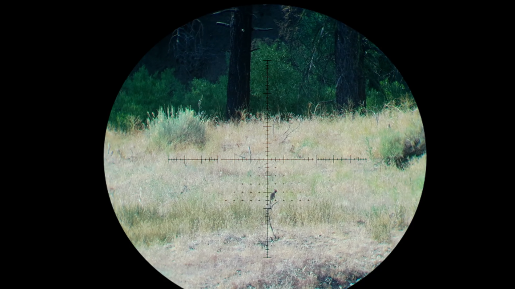 Snapshot_64.1626631089.png