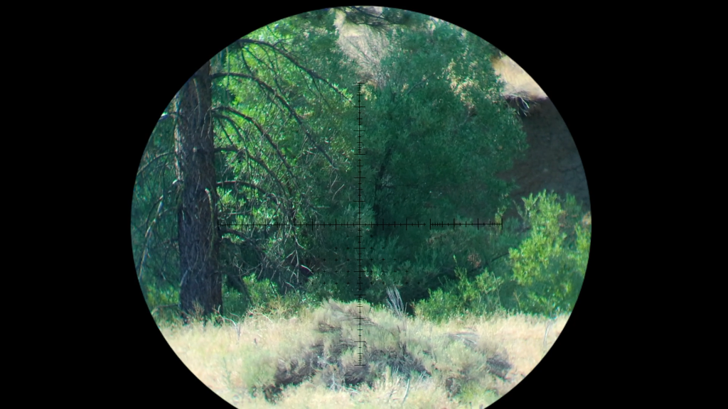 Snapshot_66.1626631423.png