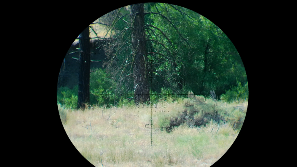 Snapshot_67.1626631488.png