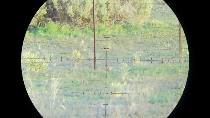 Snapshot_69.1649889841.png