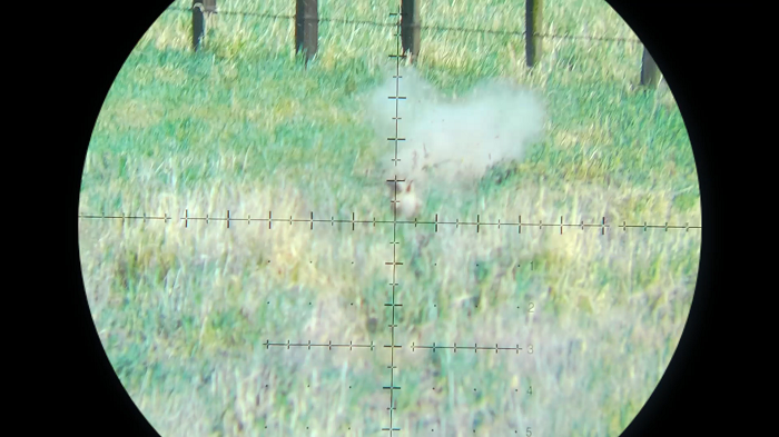 Snapshot_74.1649889961.png