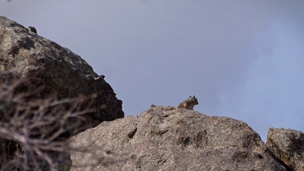 Snapshot_91.1631168348.png