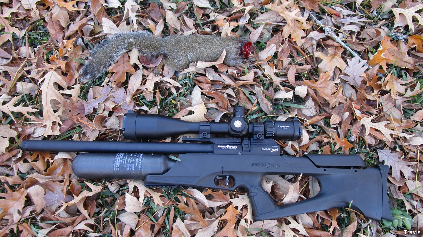 Sniper-Squirrel.1.jpg