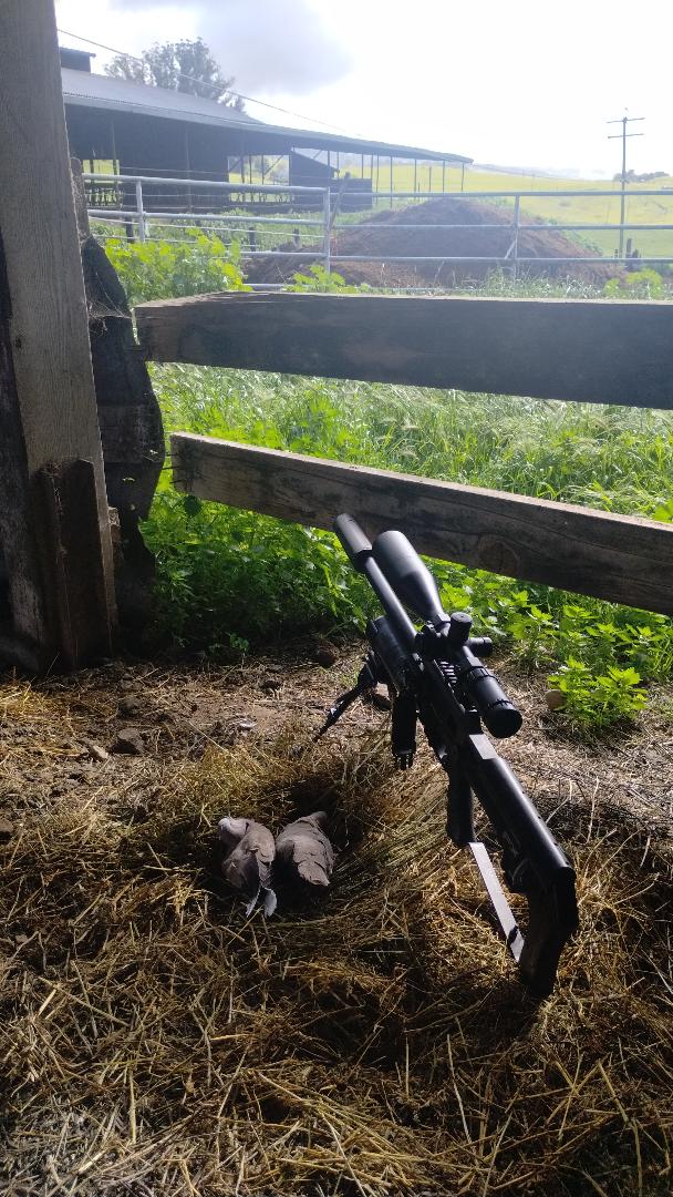 sniperhide.jpg