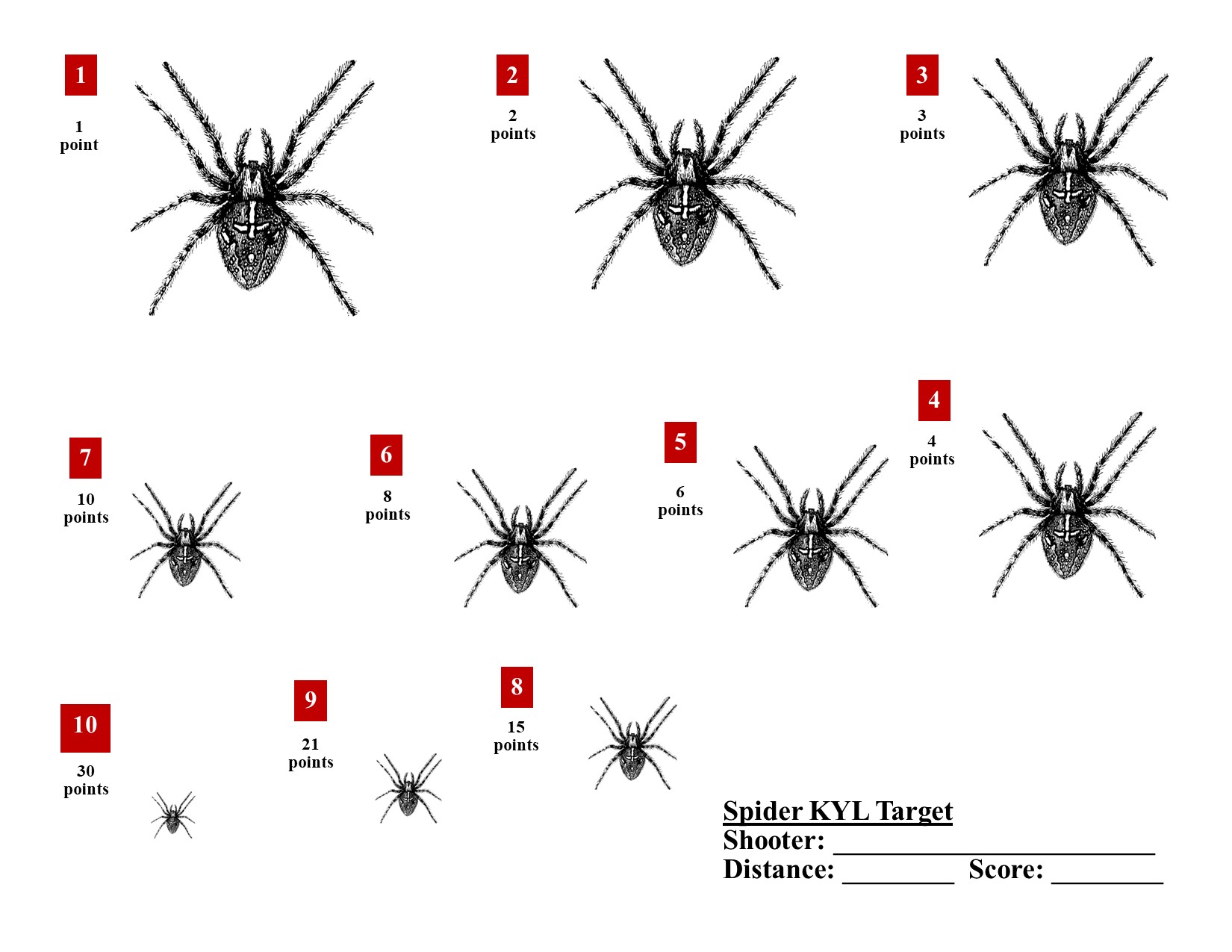 SPIDER KYL Target 1.jpg
