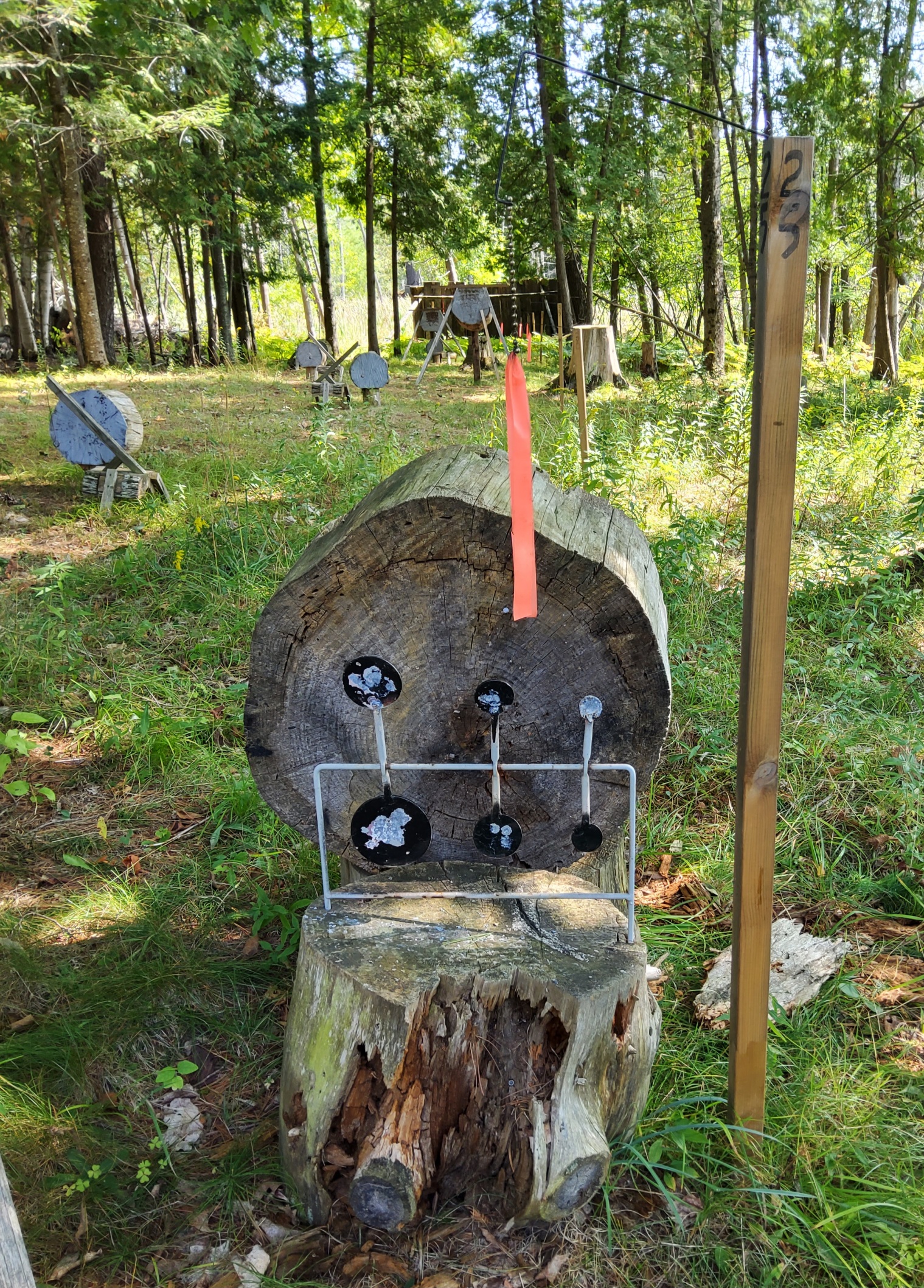Spinner backstop.jpg